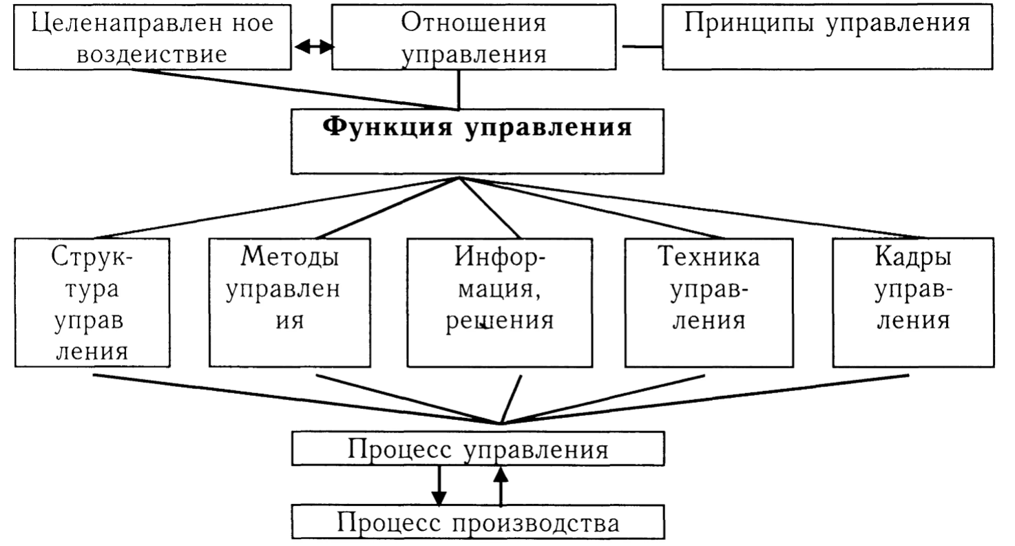 Основные функции в системе менеджмента - Функции в системе управления