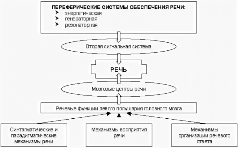 Речевой организации. Схема механизма речевой деятельности. Физиологические механизмы развития речи. Психофизиологические механизмы речи схема. Механизмы восприятия речи схема.