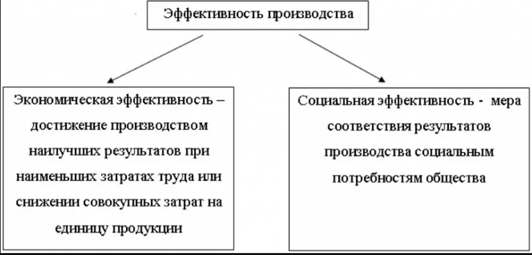 Формы эффективности организации производства