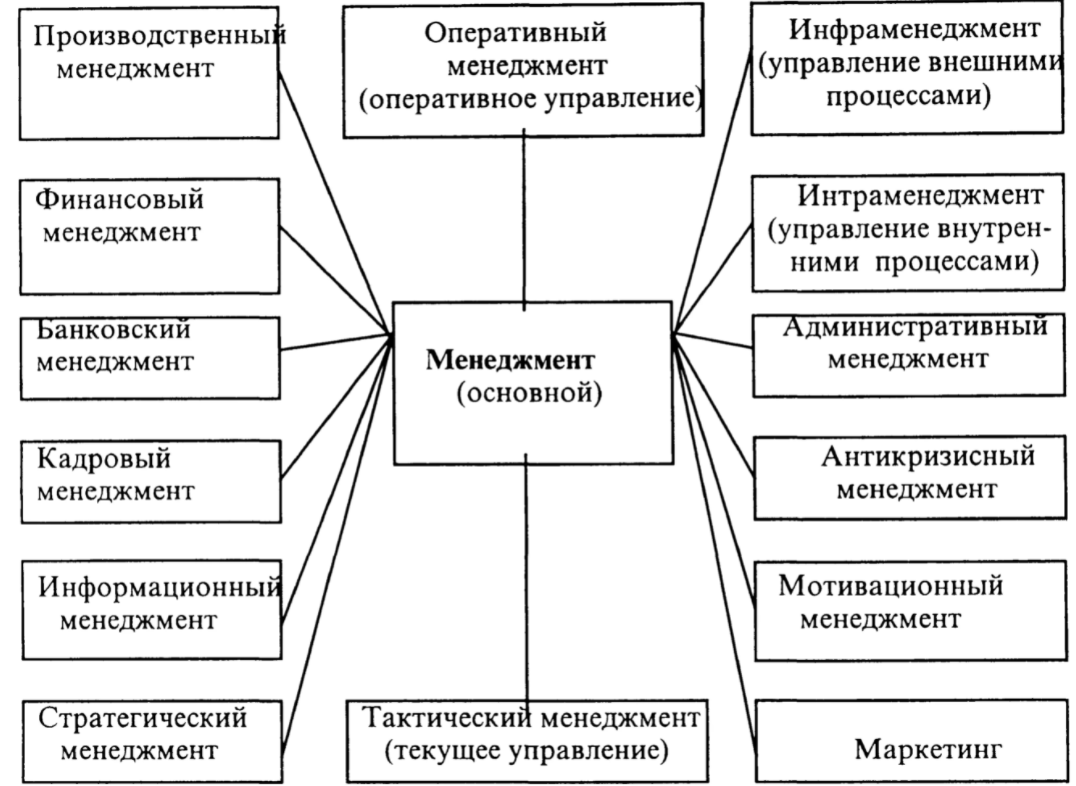 Определение понятия «менеджмент» - Основные виды и функции менеджмента