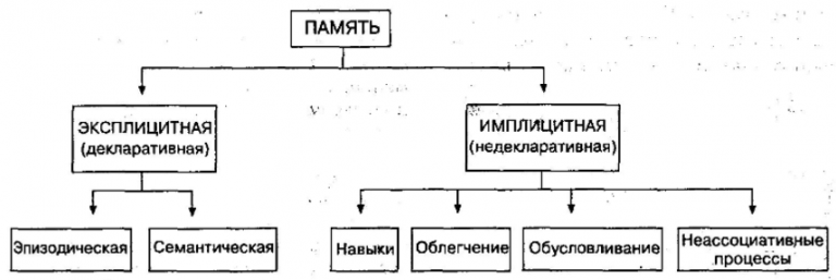 Память на сигналы и символы обозначающие как внешние объекты так и внутренние действия и переживания