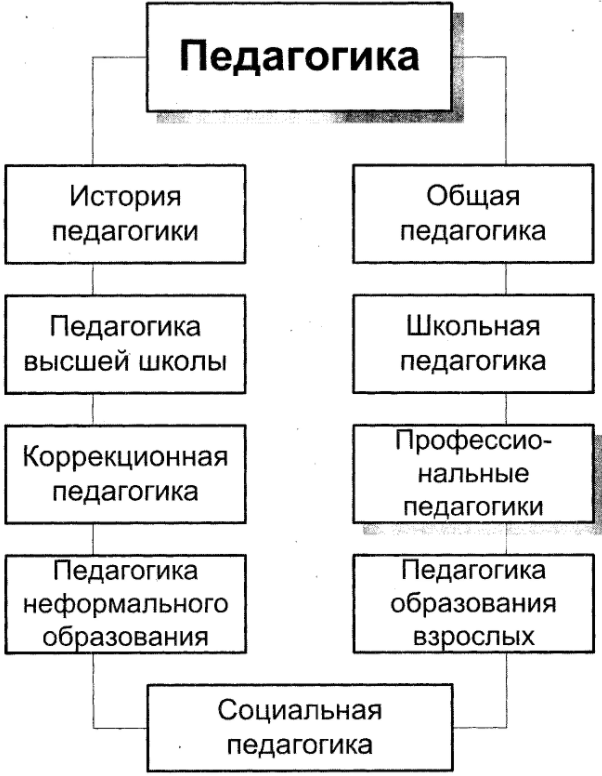 Разделы педагогики. Разделы общей педагогики. Разделы педагогики таблица. Разделы коррекционной педагогики. Разделы социальной педагогики.