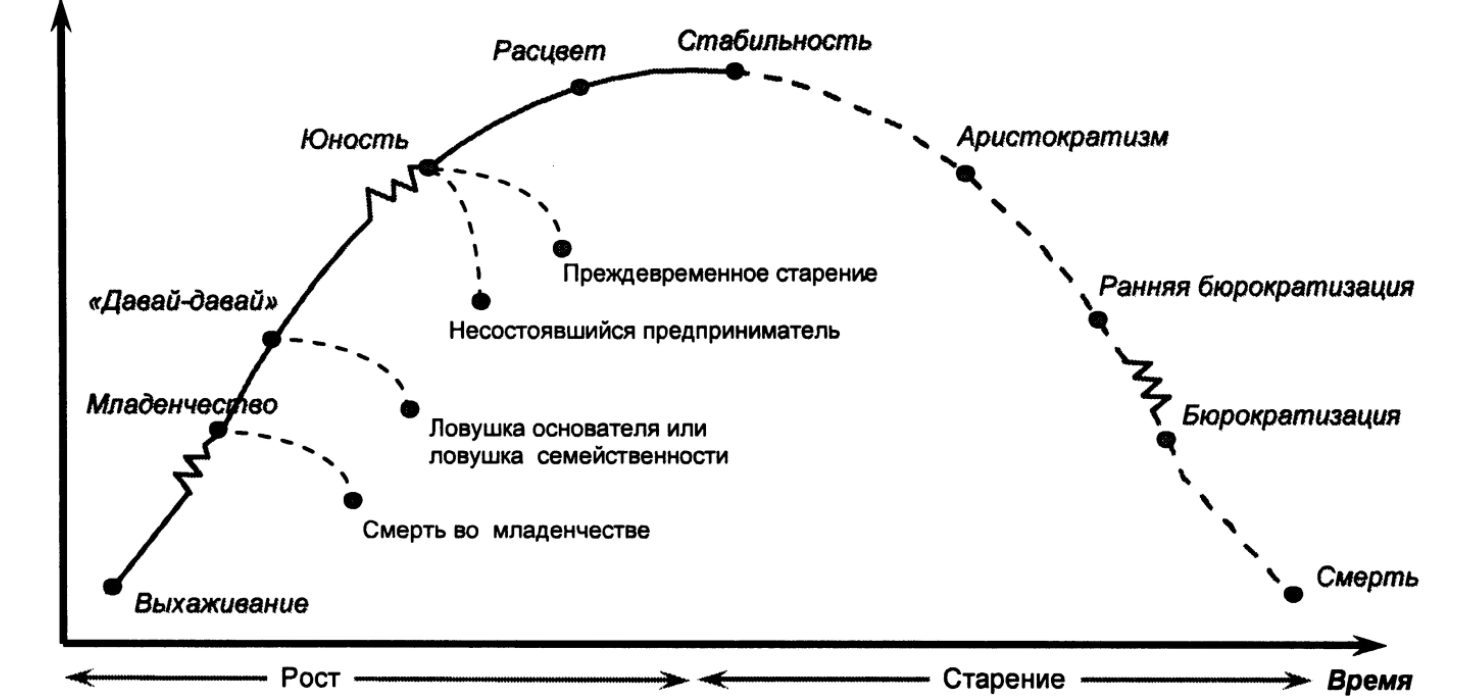 Теория жизненных циклов организации - Жизненный цикл организации