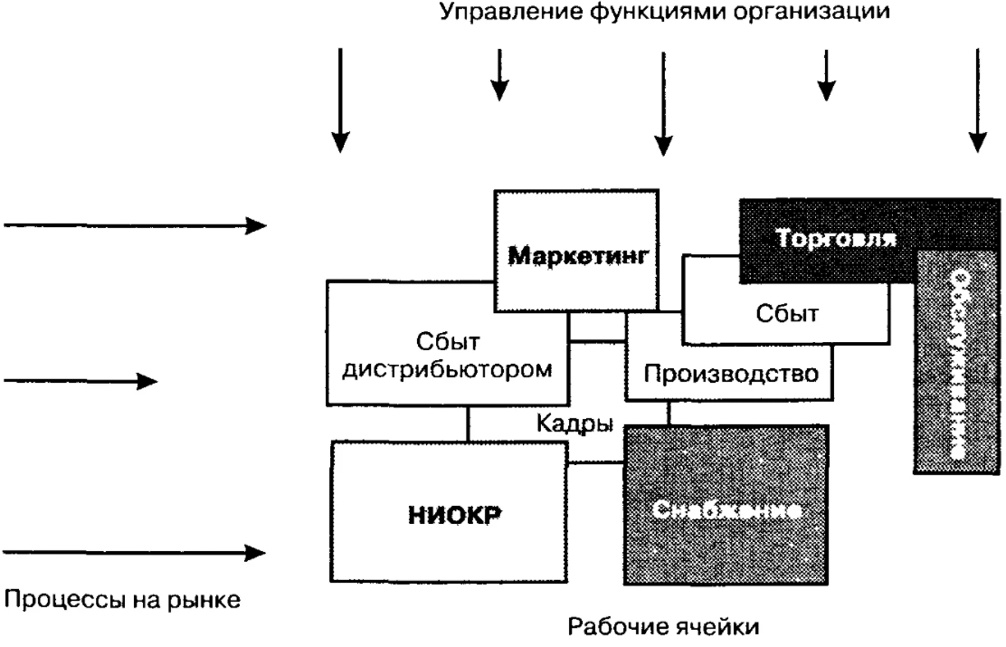 Типы организаций по взаимодействию с человеком - Функциональная структура